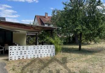 478413-Vorschaubild2