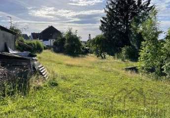 471410-Vorschaubild2