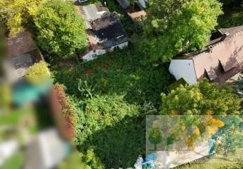 478421-Vorschaubild3