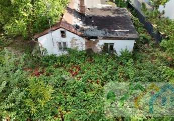 478421-Vorschaubild4