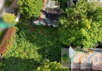 444644-Vorschaubild3