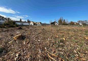 478426-Vorschaubild2