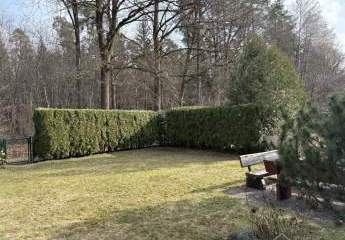 478428-Vorschaubild4