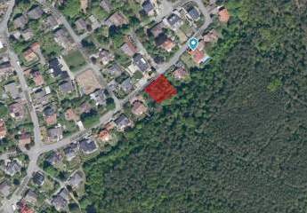 478426-Vorschaubild3