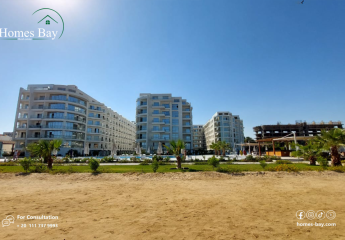 462177-Vorschaubild3