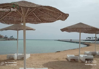 462182-Vorschaubild3