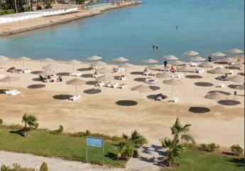 462182-Vorschaubild4