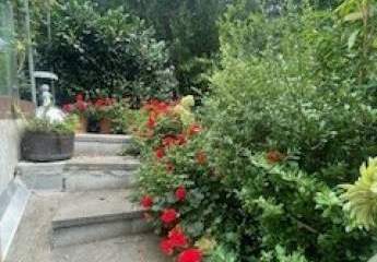 458835-Vorschaubild4