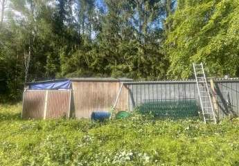 477783-Vorschaubild4