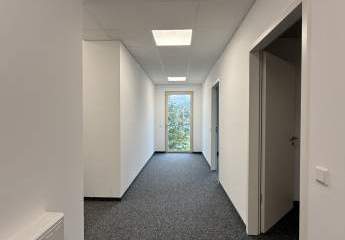 448434-Vorschaubild4