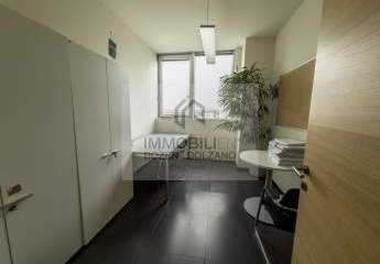 455763-Vorschaubild4