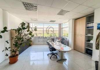 450203-Vorschaubild2