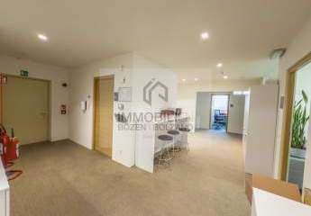 451736-Vorschaubild2