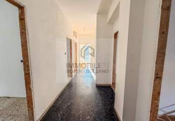 455776-Vorschaubild2