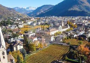 456924-Vorschaubild2