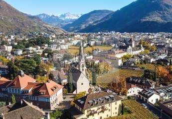 456924-Vorschaubild3