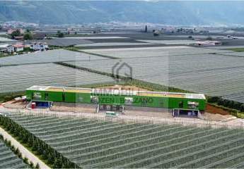 466135-Vorschaubild4