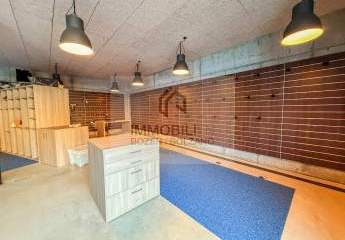 471219-Vorschaubild3