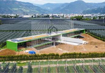 466135-Vorschaubild4