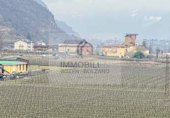 471855-Vorschaubild2