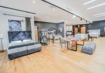 Repräsentativer Showroom in Toplage von Bozen Süd zu vermieten