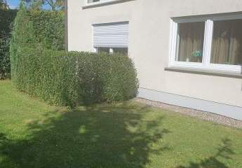 436026-Vorschaubild4