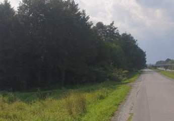 436411-Vorschaubild2