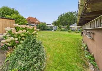 444968-Vorschaubild3