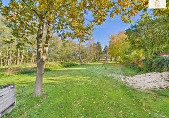 457049-Vorschaubild4