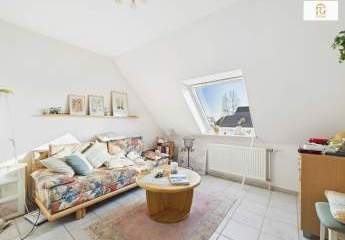 479549-Vorschaubild4