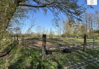 490983-Vorschaubild3