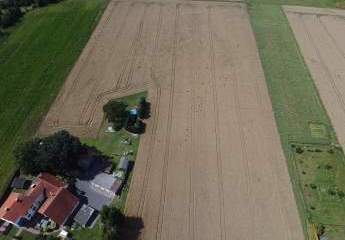 Ein Feld voller Möglichkeiten – investieren, gestalten, ernten!