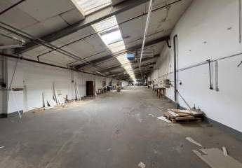 441802-Vorschaubild4