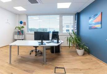 453141-Vorschaubild4