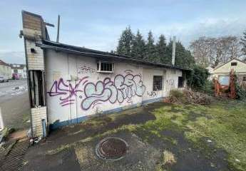 456469-Vorschaubild4