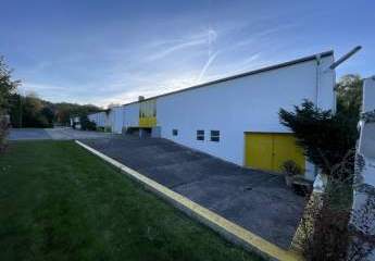 458701-Vorschaubild2