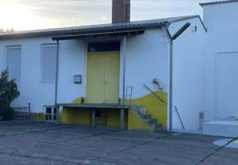 458701-Vorschaubild3