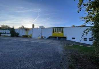 458701-Vorschaubild4