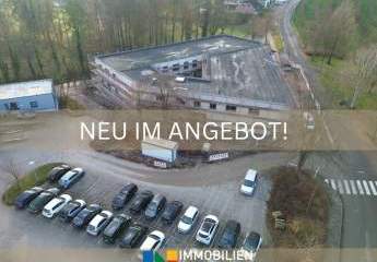 462437-Vorschaubild2