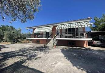 463473-Vorschaubild2