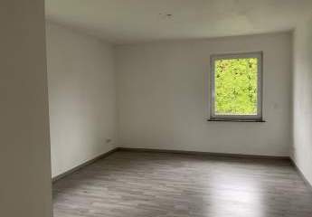 462435-Vorschaubild4