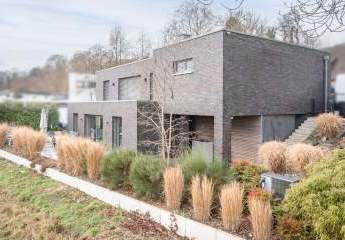 468004-Vorschaubild3