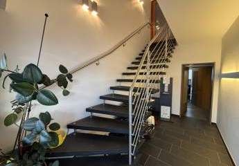 472492-Vorschaubild3