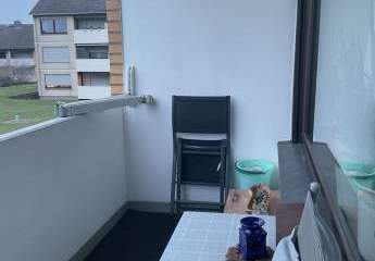 473229-Vorschaubild3