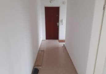 473230-Vorschaubild3