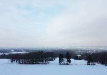 471412-Vorschaubild3