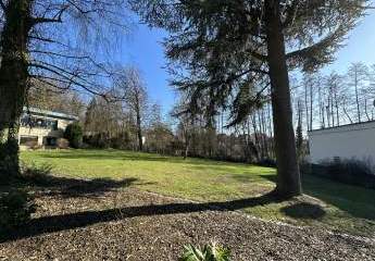 476614-Vorschaubild2