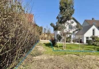 479382-Vorschaubild3