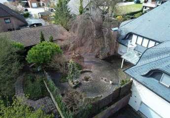 481785-Vorschaubild3