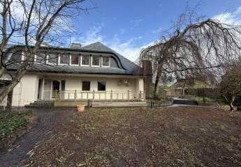 481785-Vorschaubild4